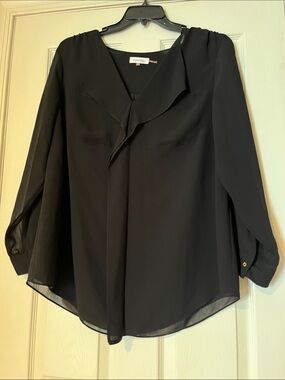 Calvin Klein Black Sheer Long-Sleeve V-Neck Blouse